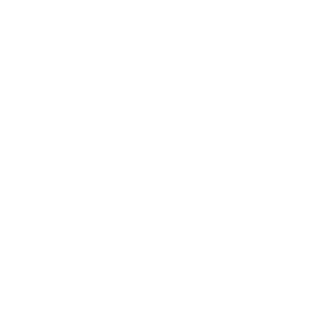 Vivavoy Study
